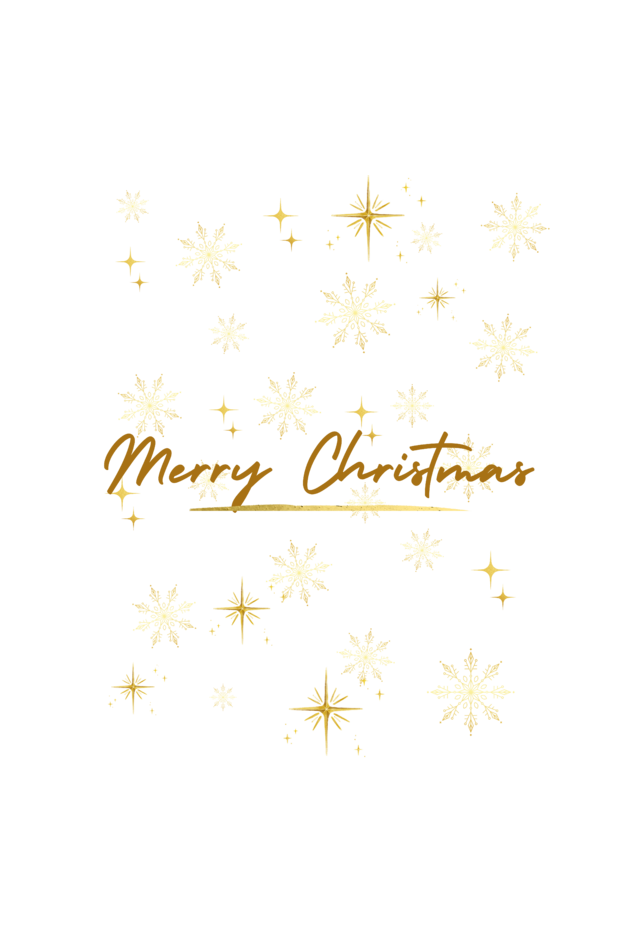 "MERRY CHRISTMAS" | Christmas Casual | Unisex T-shirt | Gold