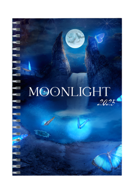 "MOONLIGHT 2025" | Unruled Journals | For Diary Lovers